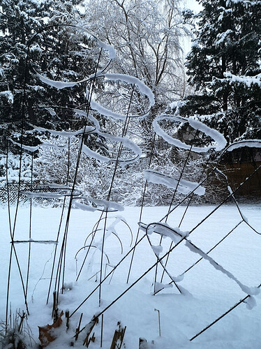 Ice covered wireframe_20201209