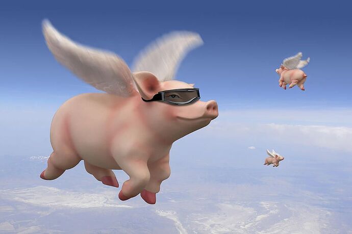 flying pig