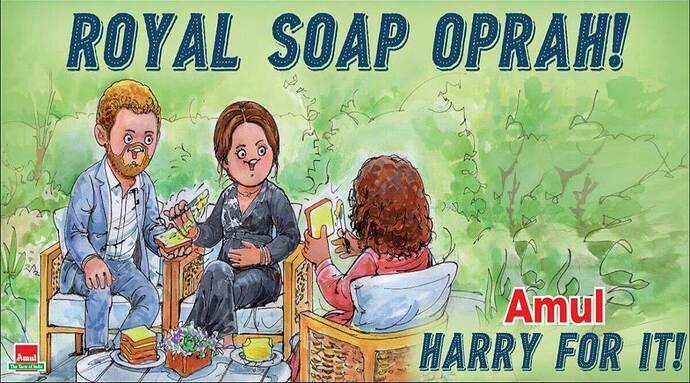 harry-mehan-interview-amul-cartoon