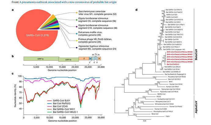 genome Covid19.PNG