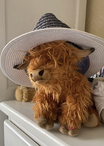 IMG_9704