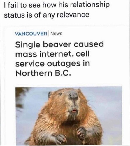 1000016924