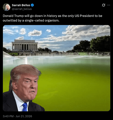 TrumpAlgae