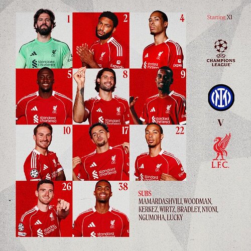 17653060337846254324086335176195