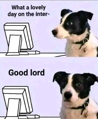 What a lovely day on the internet