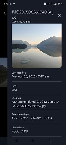 1000017096