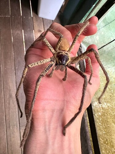 Screenshot 2025-11-28 at 10.22.46 pm