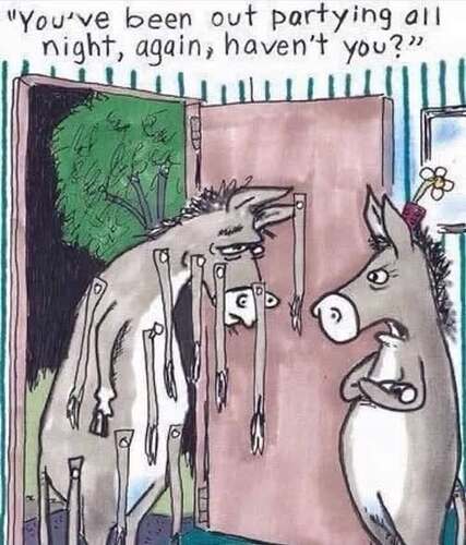 585599741_10163121858902771_2610560878657093805_n