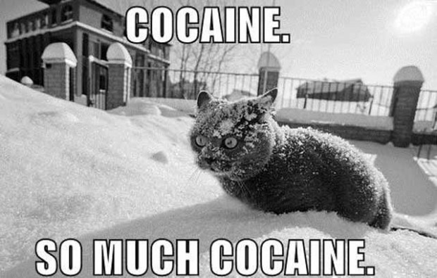 coke_cat_freak