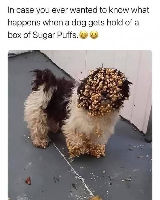 1000013749