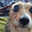 luckynumber_457